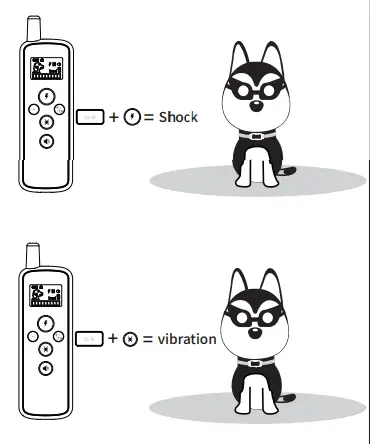 Shenzhen-Afu-Intelligent-Internet-Technology-AFU-WOH-0008-Remote-Control-Training-System-12