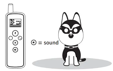 Shenzhen-Afu-Intelligent-Internet-Technology-AFU-WOH-0008-Remote-Control-Training-System-13