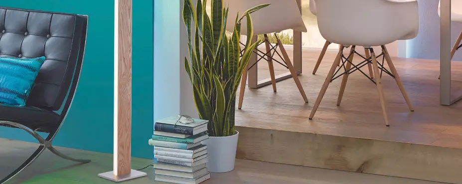 Paul Neuhaus 421-95 Q-timber Led Floor Lamp Instruction Manual Paul Neuhaus 421-95 Q-timber Led Floor Lamp Instruction Manual