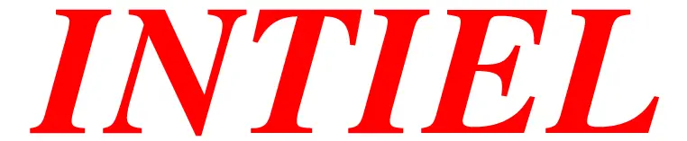 INTIEL DT 3.2.2 Programmable Controller for Solar logo