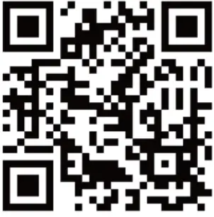 PALOVUE-EarSound-Wireless-Earbuds-FIG-2