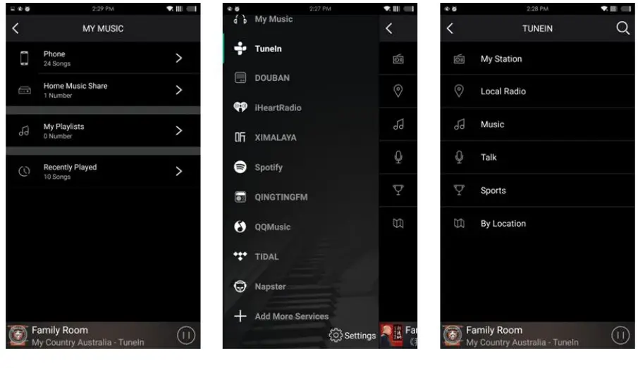RAKOSO Class D Digital Amplifier SA100-Services