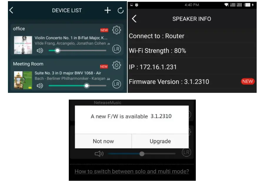 RAKOSO Class D Digital Amplifier SA100-Services4