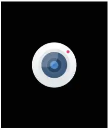 STORM SM2 Men Smart Watch Instructions - Camera control