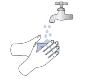 Roche COVID 19 At Home Test - figure 2