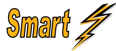 smart