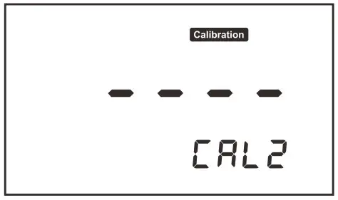 BANTE BI-620 Industrial pH Controller - display