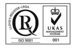 LINDY LE400W In Ear Wireless Headphones - icon