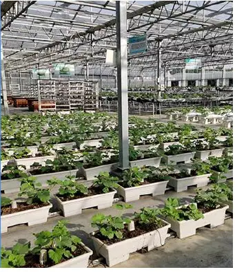 SONBUS SM7330M Bus Type Bracket Type Temperature Sensor fig 10