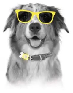 pebblebee PB 701 B Found Cellular GPS Location Tracker - 2