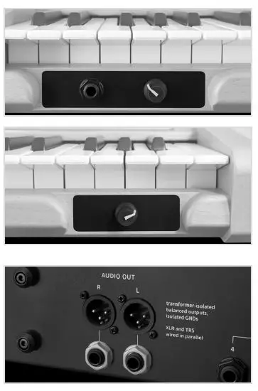 NONLINEAR LABS C15 Digital Keyboard 15