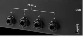 NONLINEAR LABS C15 Digital Keyboard 16