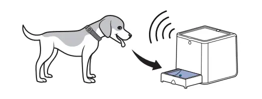 PetSafe Teach and Treat Remote Reward Trainer with Dispenser -02