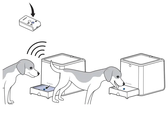 PetSafe Teach and Treat Remote Reward Trainer with Dispenser -1