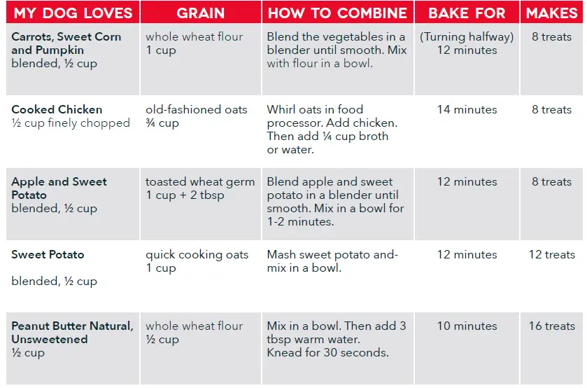 DASH-DDTM008-Express-Dog-Treat-Maker-07