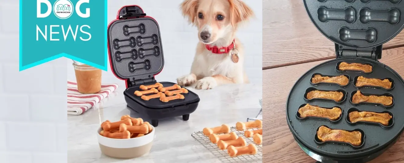 Dash Ddtm008 Express Dog Treat Maker Instruction Manual Dash Ddtm008 Express Dog Treat Maker Instruction Manual