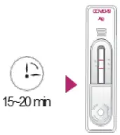 GenBody COVID-19 Ag Rapid Diagnostic Test for the Detection of SARS-CoV-2 Antigen 7