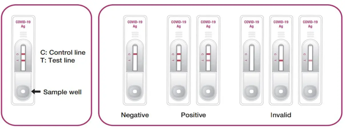 GenBody COVID-19 Ag Rapid Diagnostic Test for the Detection of SARS-CoV-2 Antigen 8