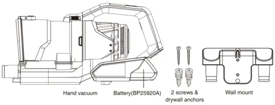 What comes in the carton