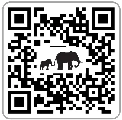 v=connect IT CMO-3100 Dual SmartSwitch Wireless Mouse - qr