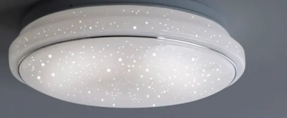 Leuchten Direkt 998758 Racoon Ceiling Light Instruction Manual