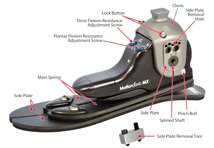 fillauer-MotionFoot-MX-1