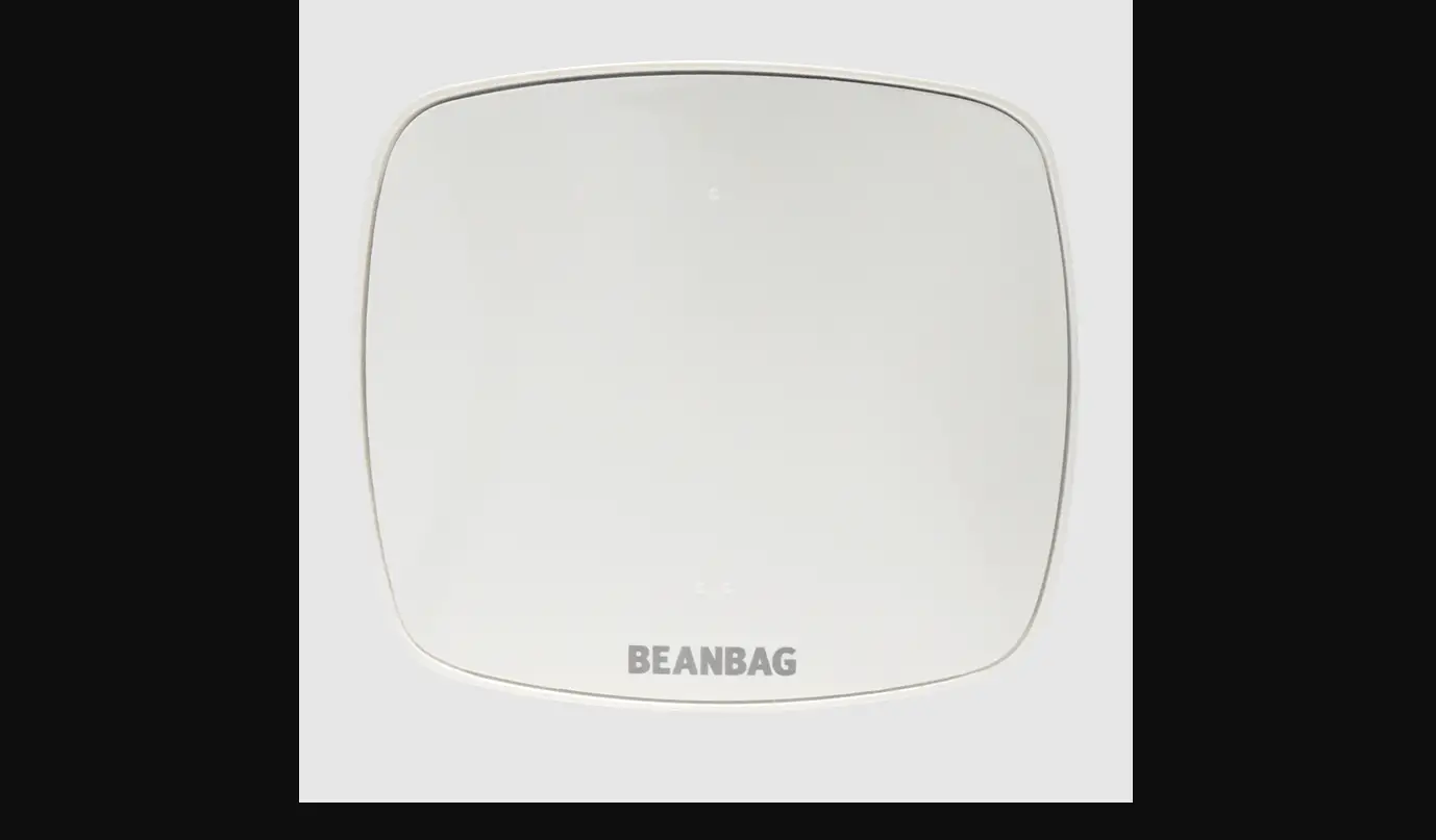 Beanbag Thermostat Receiver Max10z-737 Manual