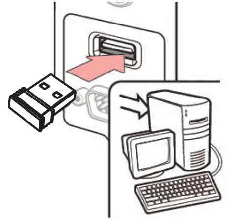 Connect Dongle To Host