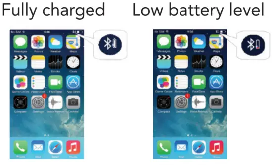 BATTERY CAPACITY STATUS