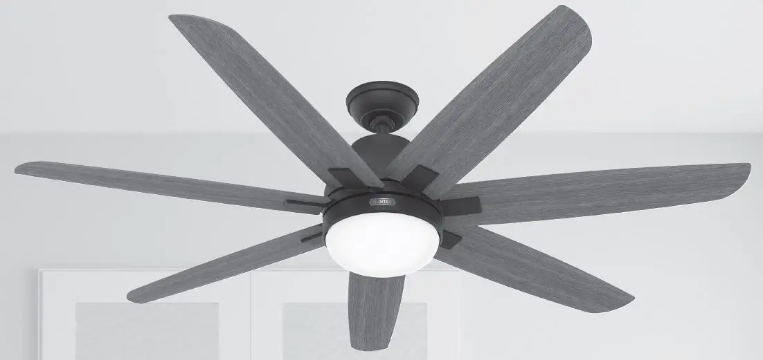 Hunter-51567-Wilder-Ceiling-Fan-product