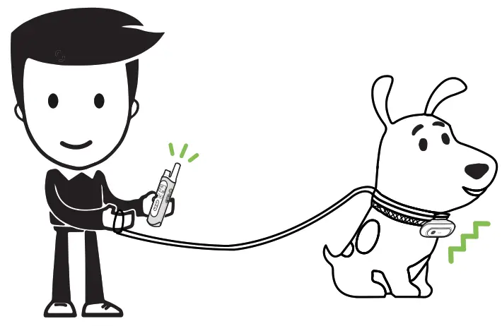 NVK TC 20 Dog Training Collar - 16