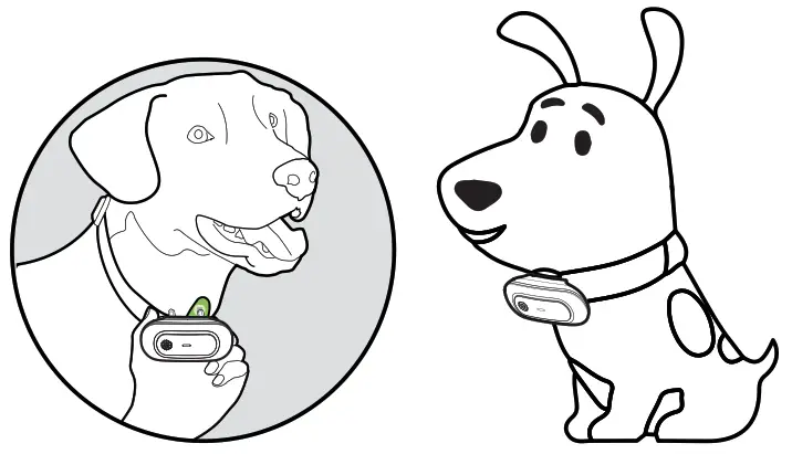 NVK TC 20 Dog Training Collar - 6