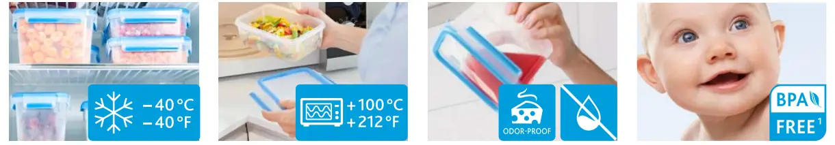 emsa CLIP and CLOSE Food Storage Container - Fig