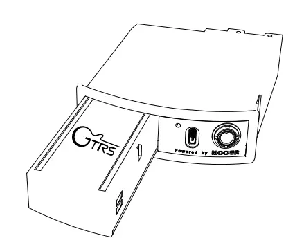 GTRS W900 Intelligent Guitar - Fig