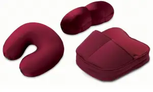 Homedics SQM-BRG Sqush Therapy Massaging Pillows Instruction Manual and Warranty Information