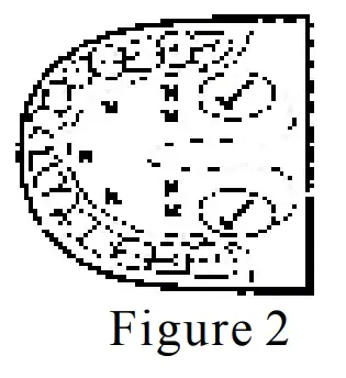 Dr Odin MT-4333 Instant Flexible Digital Thermometer 10 Secondes - Figure 2