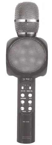 Shenzhen HPS0600 LED Karaoke Speaker