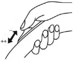 Qlima WDZ510 Wet and Dry Vacuum Cleaner 2U