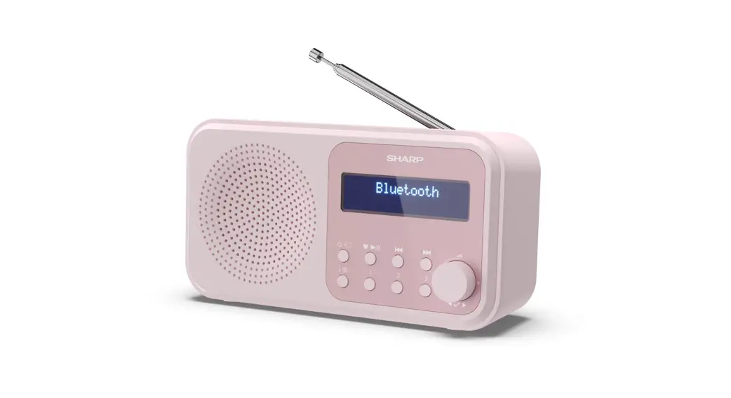 Sharp Dr-p420 Tokyo Portable Digital Radio User Manual Sharp Dr-p420 Tokyo Portable Digital Radio User Manual