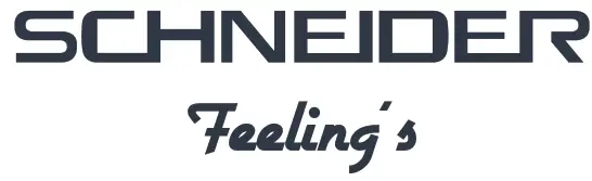 Schneider LOGO