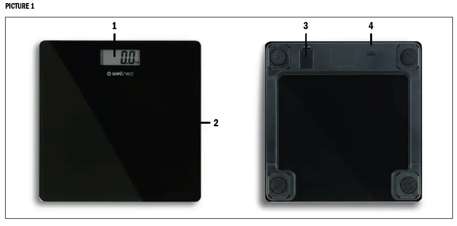 wellneo-ODM-30-Convenient-Personal-Digital-Scale-fig-1