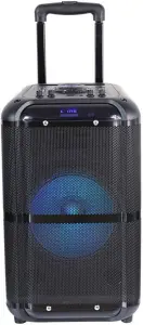 DENVER Bluetooth Speaker TSP-306NR Instruction Manual