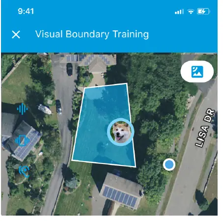 Wagz-Freedom-Smart-Dog-Collar-App-FIG-10