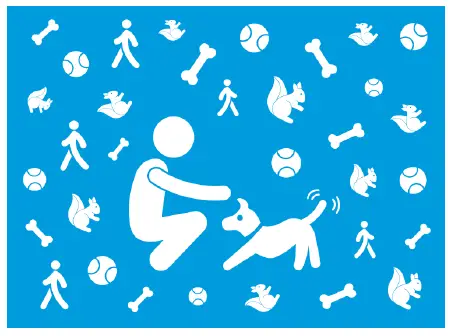 Wagz-Freedom-Smart-Dog-Collar-App-FIG-15