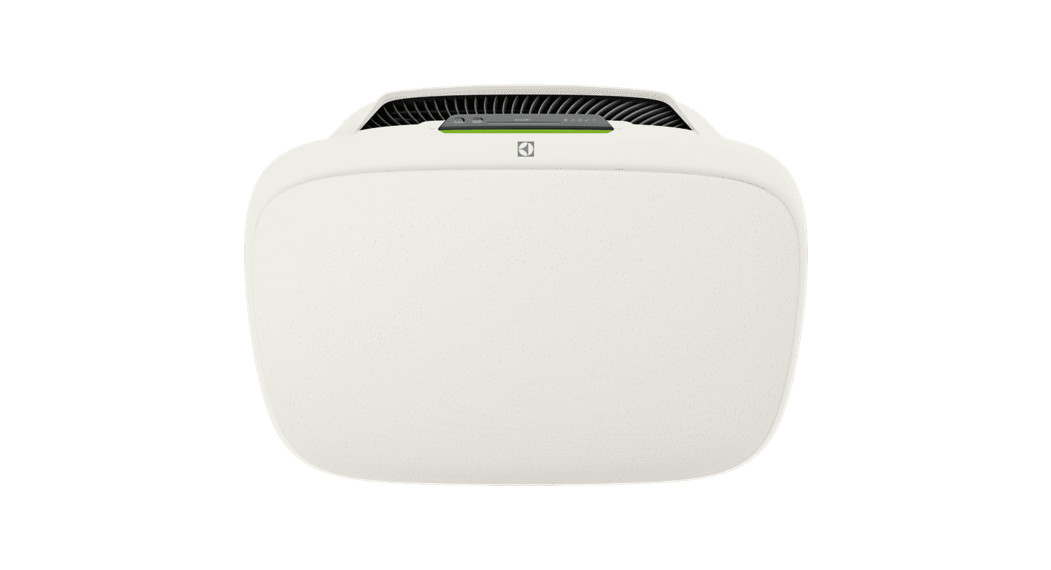 Electrolux Wa51-304 Series Luftreiniger Instruction Manual