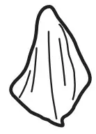 Cleaning and Maintenance