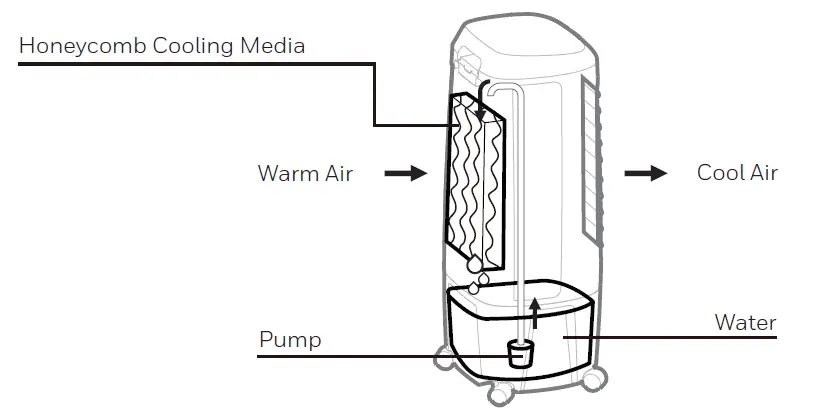 Honeywell CL60PM Air Cooler 1