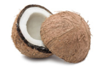 Coconut