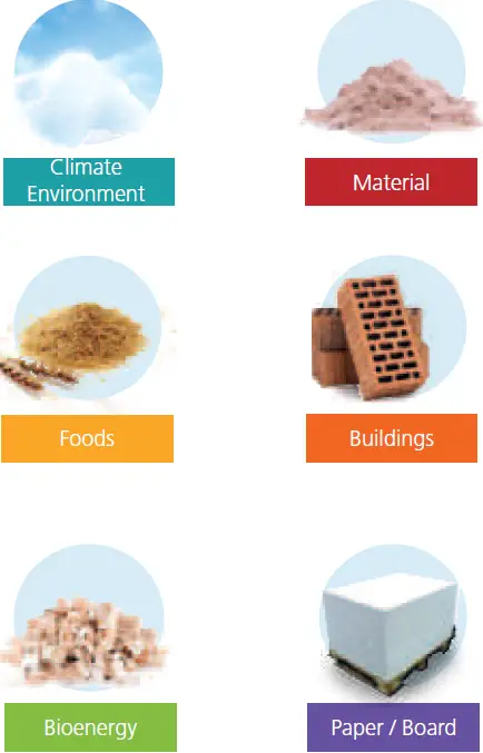 Schaller MF-P-HTD Paper Moisture Sensor 16