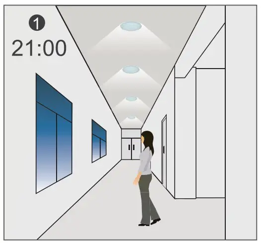 Daylight Function Configuration